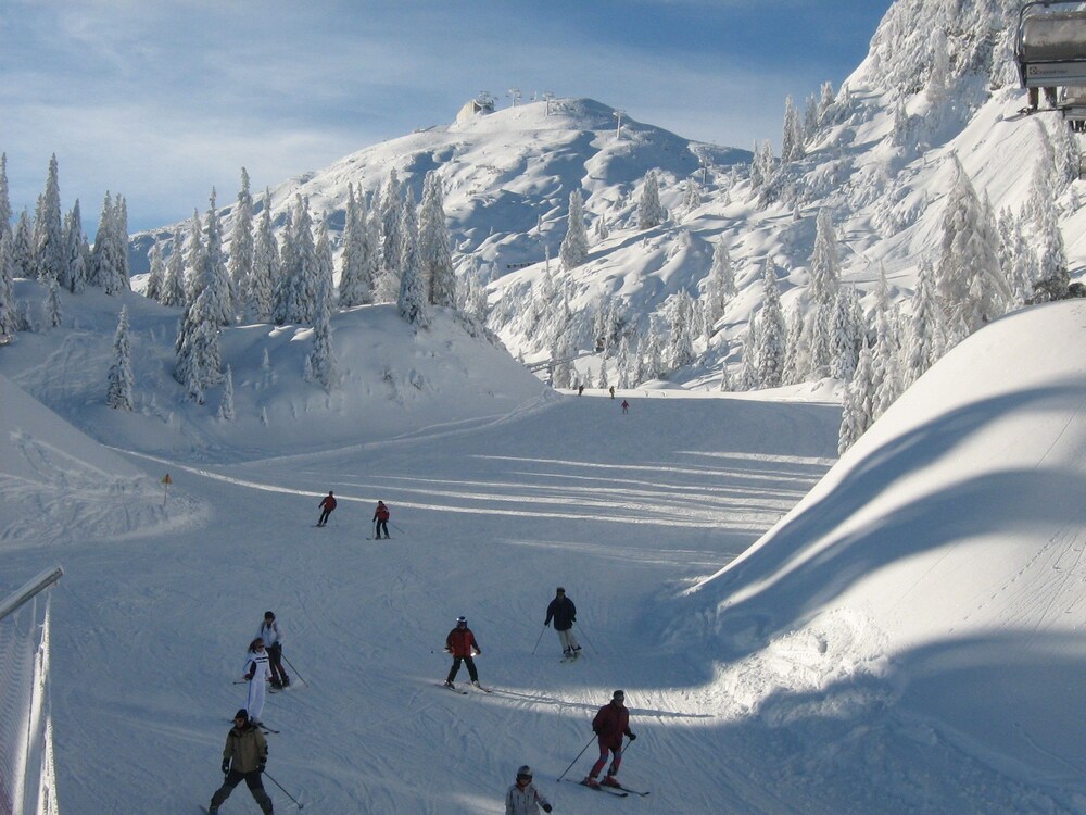 alp and wellnes sport hotel panorama