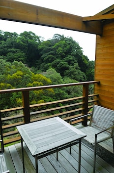 kirishima momijitani seiryuso