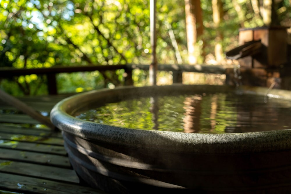 kirishima momijitani seiryuso