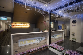 Butternut Tree Hotel,,3 star
