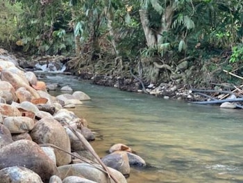 Erya By Suria Janda Baik,Genting Highlands>>Bentong,3 star