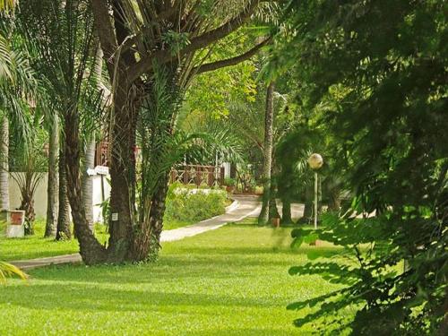 senegambia beach hotel