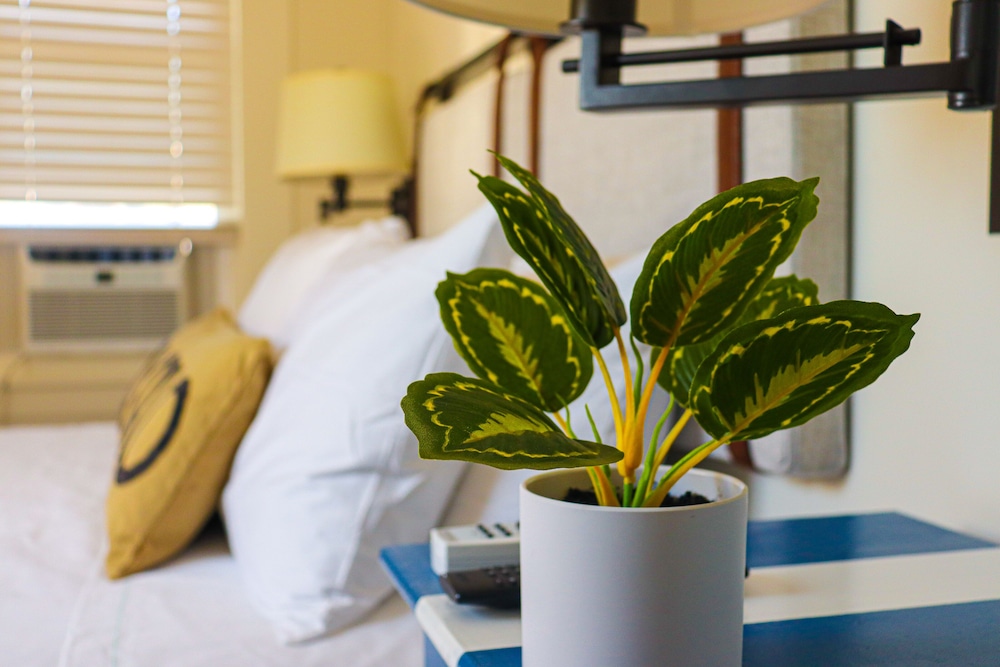 Mercury Hotel Provincetown,Near Seashell Museum,3 star