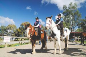 the georgian motor lodge