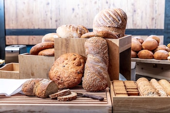 scandic harstad adults only