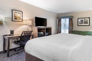 quality inn
