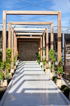 castelnau le lez