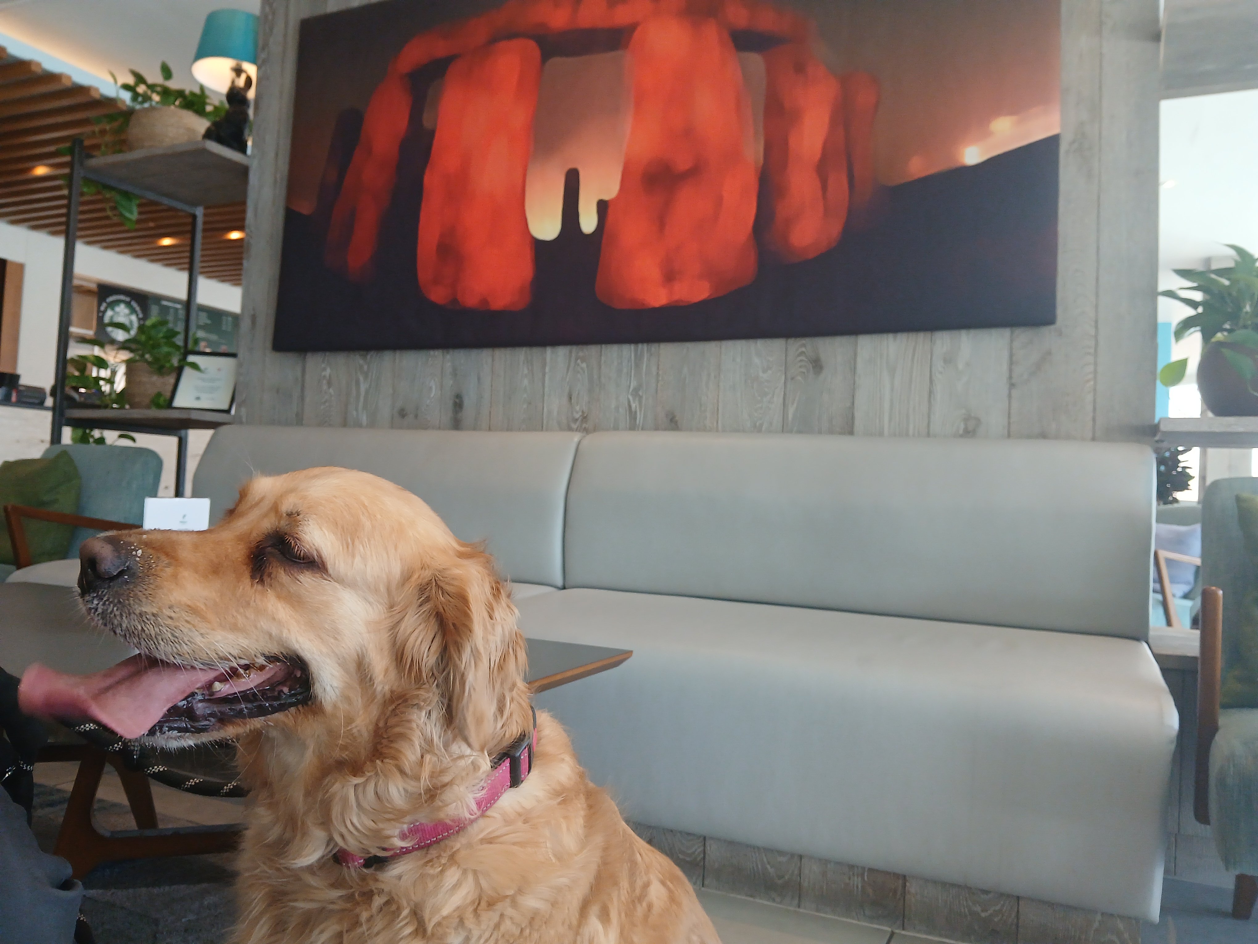 holiday inn salisbury stonehenge by ihg