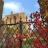 bickleigh castle hotel