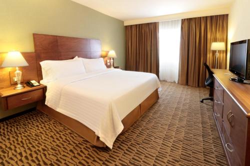 holiday inn monterrey norte by ihg