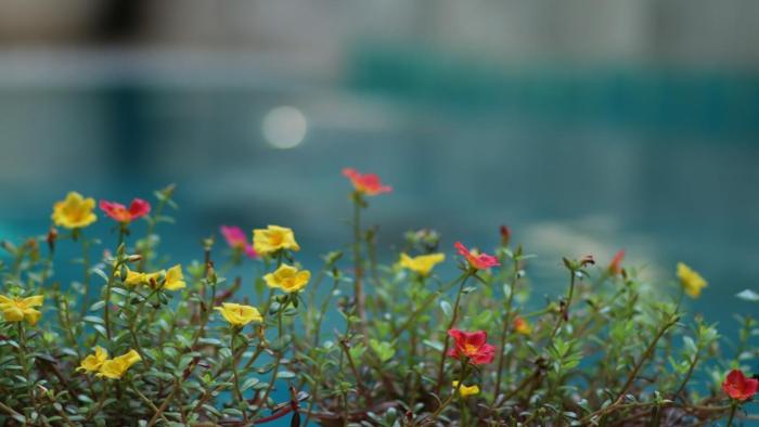 long life riverside hotel and spa