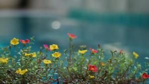 long life riverside hotel and spa