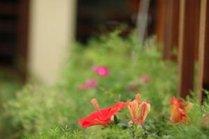long life riverside hotel and spa