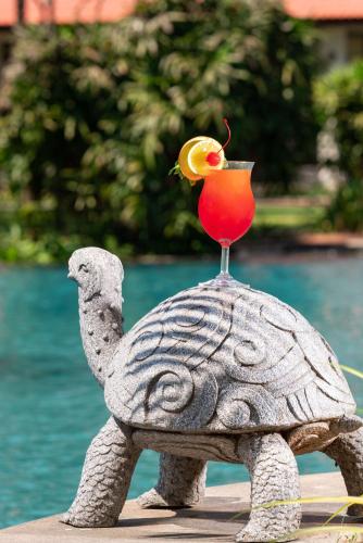 radisson blu resort temple bay mamallapuram