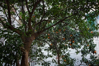 naples