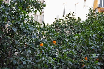 naples