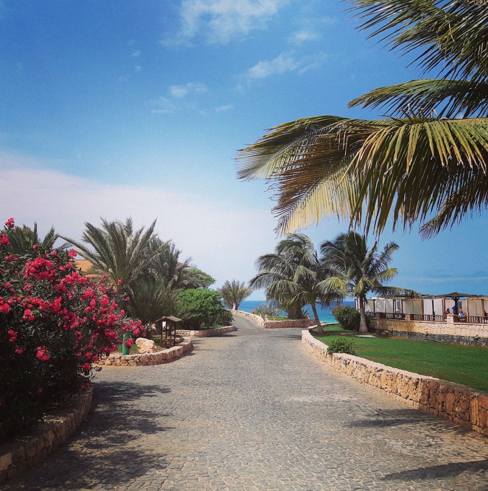 occidental boa vista beach