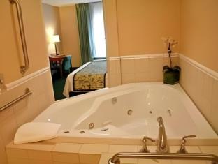 fairfield inn and suites by marriott toledo north