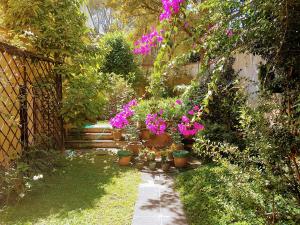 Casa Carmel Bed And Breakfast,Mixco>>Guatemala City,3 star