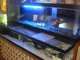 Hotel Route Inn Mitokenchomae,Mito>>Ibaraki,3 star