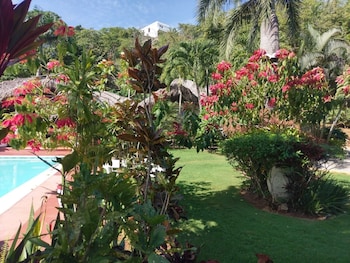 casita alegria