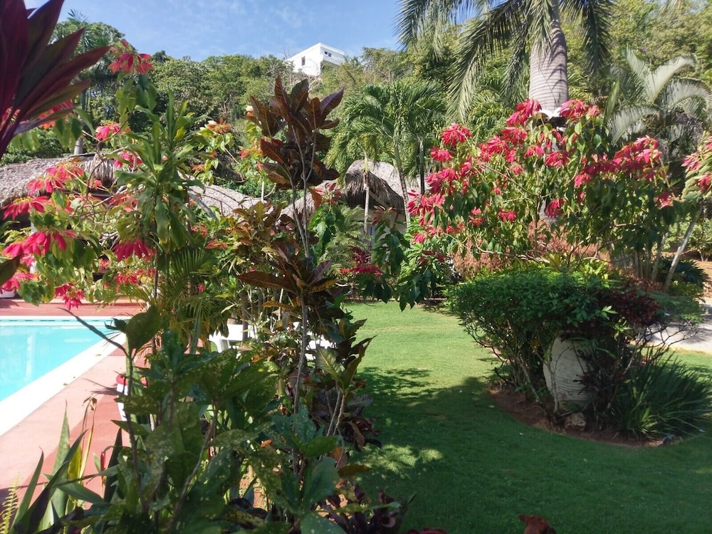 casita alegria