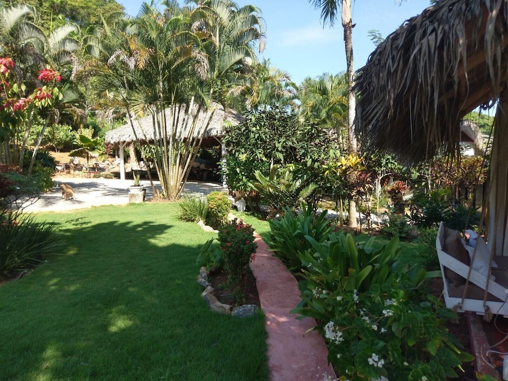 las terrenas