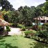 las terrenas