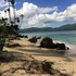 las terrenas
