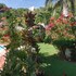 casita alegria