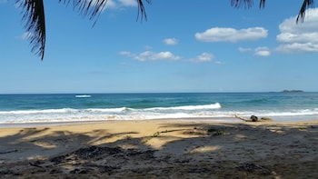 las terrenas