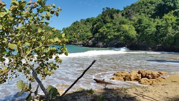 las terrenas