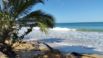 las terrenas
