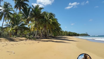 las terrenas