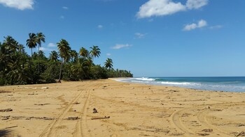 las terrenas