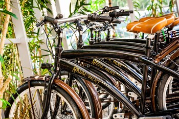 hotel kristal palace tonelli hotels adult friendly