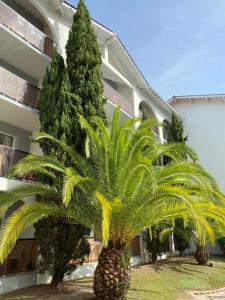 hotel residence anglet biarritz parme