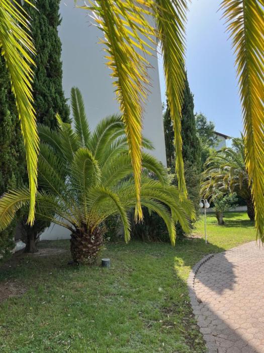 hotel residence anglet biarritz parme
