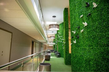 happy valley hotel ezulwini