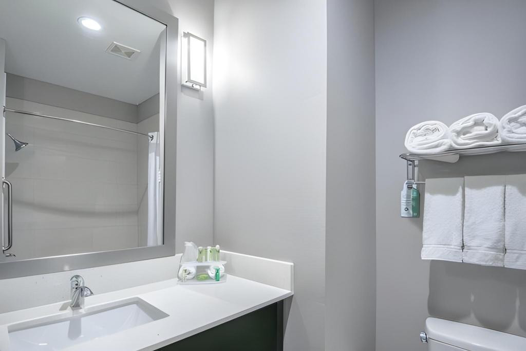 holiday inn express and suites houston intercontinental arpt