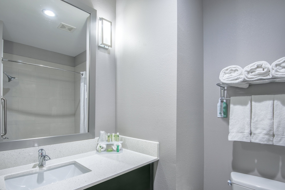 holiday inn express and suites houston intercontinental arpt