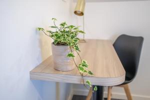 hotel au chene vert saint brieuc nord