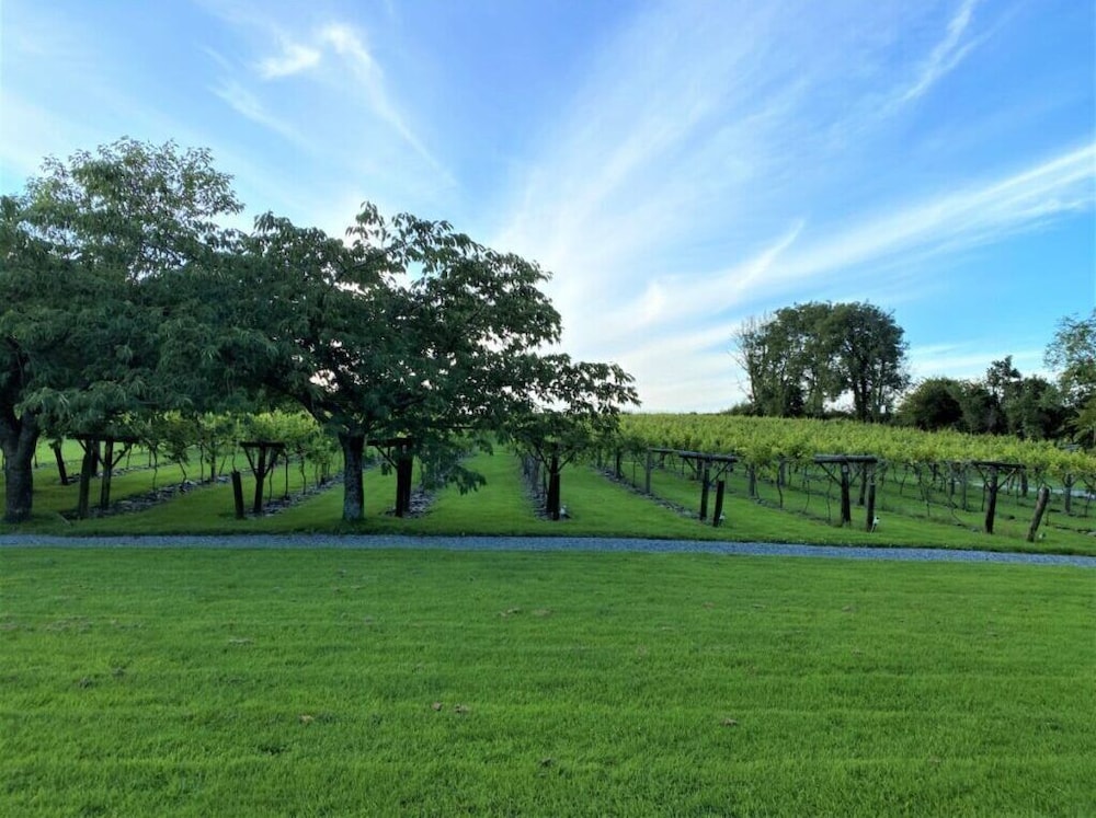 jabajak vineyard restaurant with rooms adults only