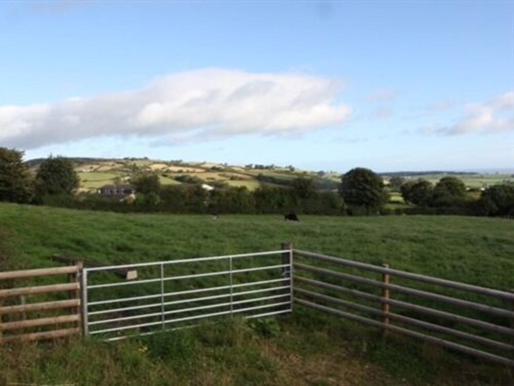 the hawk and buckle inn