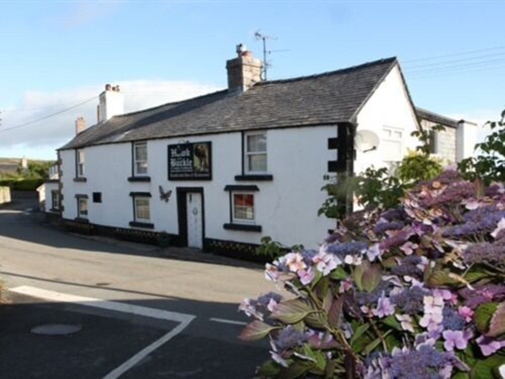 the hawk and buckle inn