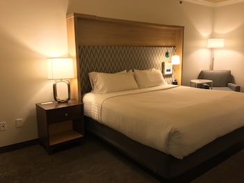 holiday inn and suites mckinney n allen by ihg