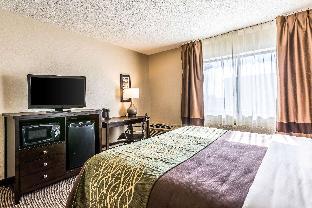 Comfort Inn Downtown,Michigan>>Detroit,3 star