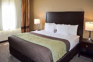 Comfort Inn Downtown,Michigan>>Detroit,3 star