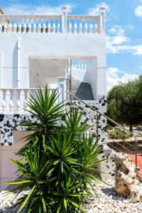 hotel matheo villas and suites