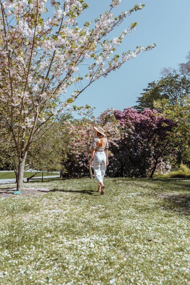 the george christchurch